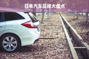 羊小咩便荔卡额度怎么套出来?羊小咩便荔卡额度不能用吗?
