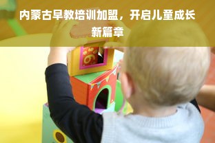 京东白条额度如何套出及冻结账户详解