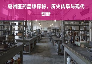 亳州医药品牌探秘，历史传承与现代创新