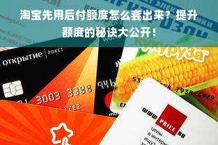 淘宝先用后付额度怎么套出来？提升额度的秘诀大公开！