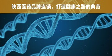 陕西医药品牌连锁，打造健康之路的典范