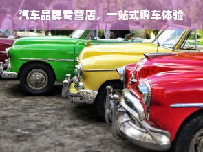 汽车品牌专营店，一站式购车体验