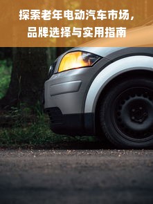 探索老年电动汽车市场,品牌选择与实用指南