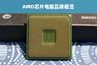 AMD芯片电脑品牌概览