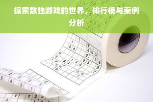 探索数独游戏的世界，排行榜与案例分析