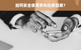 羊小咩便荔卡包额度使用指南，套出额度与使用方法全解析