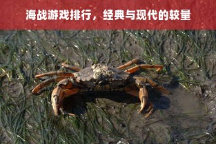海战游戏排行，经典与现代的较量