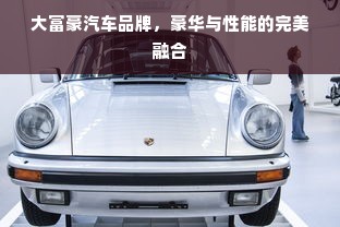 大富豪汽车品牌，豪华与性能的完美融合