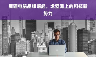 新疆电脑品牌崛起，戈壁滩上的科技新势力