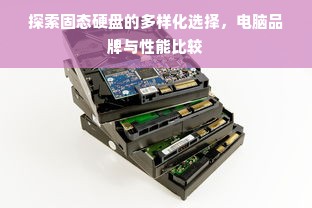 探索固态硬盘的多样化选择，电脑品牌与性能比较