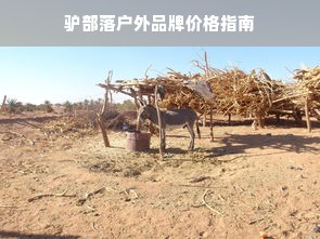 湖南邵阳家居品牌精选