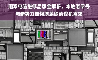 湘潭电脑维修品牌全解析，本地老字号与新势力如何满足你的修机需求
