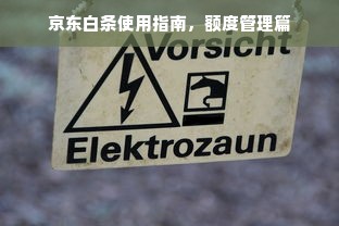京东白条使用指南，额度管理篇