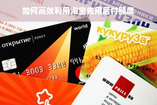 抖音月付额度神秘解锁？新手必看教程！