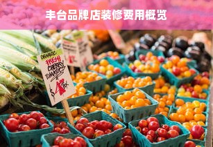 丰台品牌店装修费用概览
