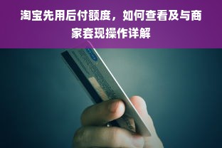 京东白条额度如何套出来商家，在哪里看京东白条额度呢？