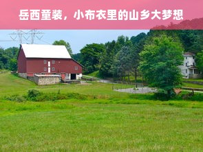 岳西童装，小布衣里的山乡大梦想