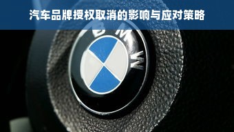 汽车品牌授权取消的影响与应对策略