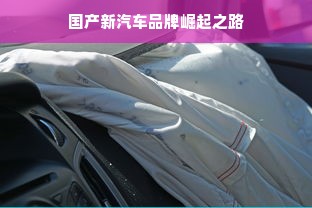 国产新汽车品牌崛起之路