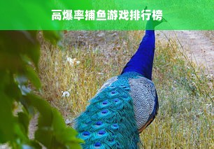 高爆率捕鱼游戏排行榜