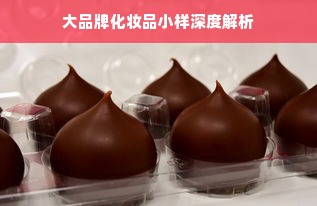 大品牌化妆品小样深度解析