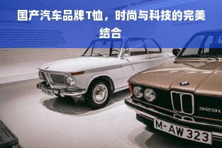 国产汽车品牌T恤，时尚与科技的完美结合