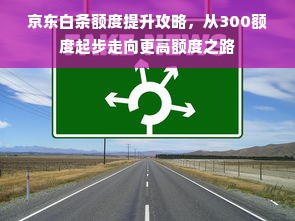 京东白条额度提升攻略，从300额度起步走向更高额度之路