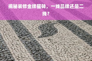 揭秘装修金牌磁砖，一线品牌还是二线？