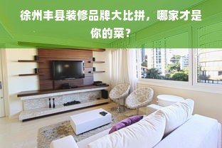 徐州丰县装修品牌大比拼，哪家才是你的菜？