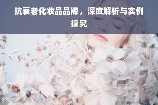 抗衰老化妆品品牌，深度解析与实例探究