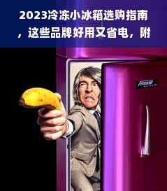 2023冷冻小冰箱选购指南，这些品牌好用又省电，附详细对比和真实体验案例