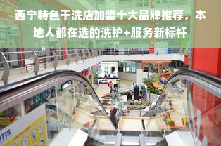 西宁特色干洗店加盟十大品牌推荐，本地人都在选的洗护+服务新标杆