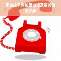恩吉拉早教加盟电话及相关信息详解