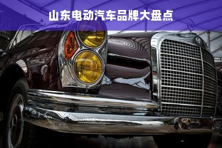山东电动汽车品牌大盘点