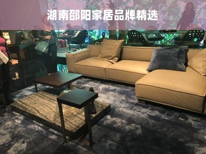 湖南邵阳家居品牌精选