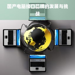 国产电脑接口品牌的发展与挑战