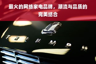 最火的网络家电品牌，潮流与品质的完美结合