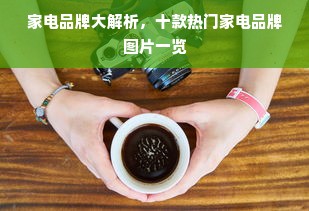 家电品牌大解析，十款热门家电品牌图片一览