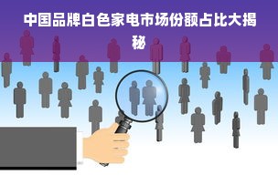 中国品牌白色家电市场份额占比大揭秘