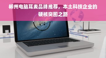 郴州电脑耳麦品牌推荐，本土科技企业的硬核突围之路