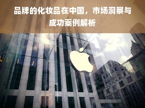 品牌的化妆品在中国，市场洞察与成功案例解析