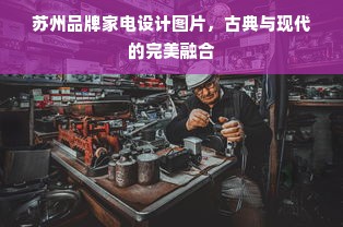 苏州品牌家电设计图片，古典与现代的完美融合