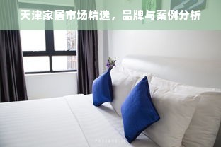 天津家居市场精选，品牌与案例分析