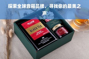 探索全球音箱品牌，寻找你的最美之声