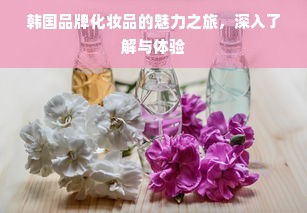 韩国品牌化妆品的魅力之旅，深入了解与体验
