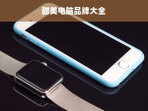 甜美电脑品牌大全
