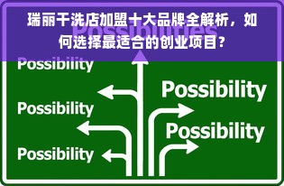 瑞丽干洗店加盟十大品牌全解析，如何选择最适合的创业项目？