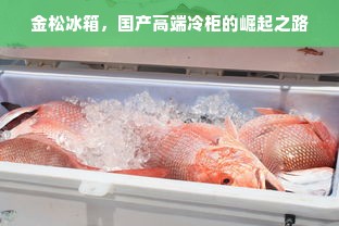 金松冰箱，国产高端冷柜的崛起之路