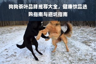 狗狗茶叶品牌推荐大全，健康饮品选购指南与避坑指南