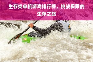 生存类单机游戏排行榜，挑战极限的生存之旅